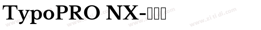 TypoPRO NX字体转换 TypoPRO NX字体转换